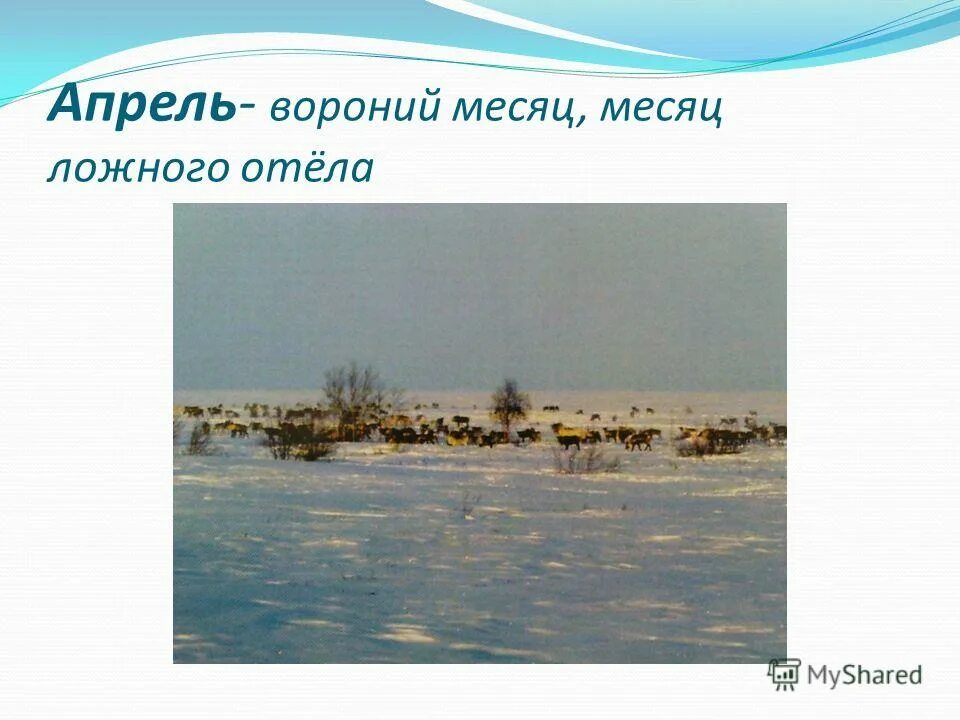 январь месяц больших молчаливых снегов