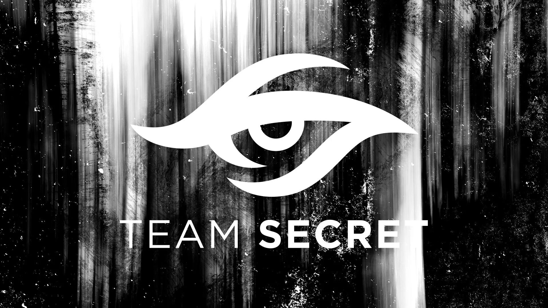 Steam secret. Тим секрет дота 2. Team Secret состав 2021. Логотип тим Сикрет. Обои Team Secret.