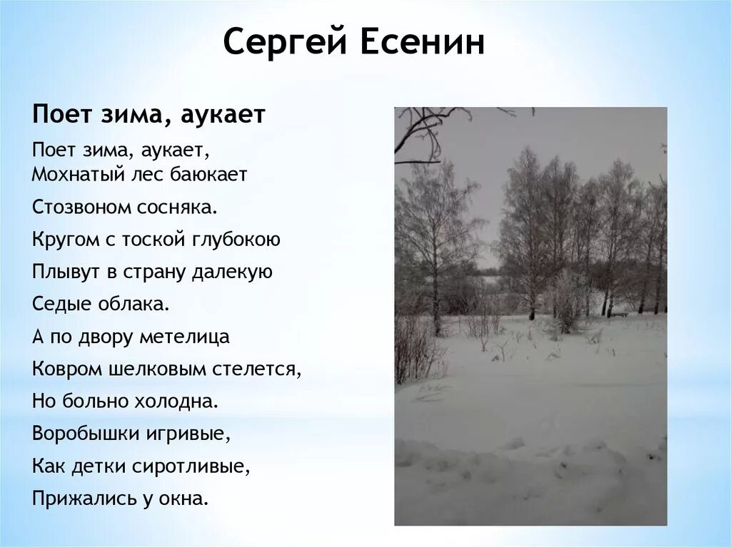 Поёт зима аукает Есенин. Стихотворение поёт зима аукает. Стихотворение поёт зима аукает Есенин. Стихи есенина снег