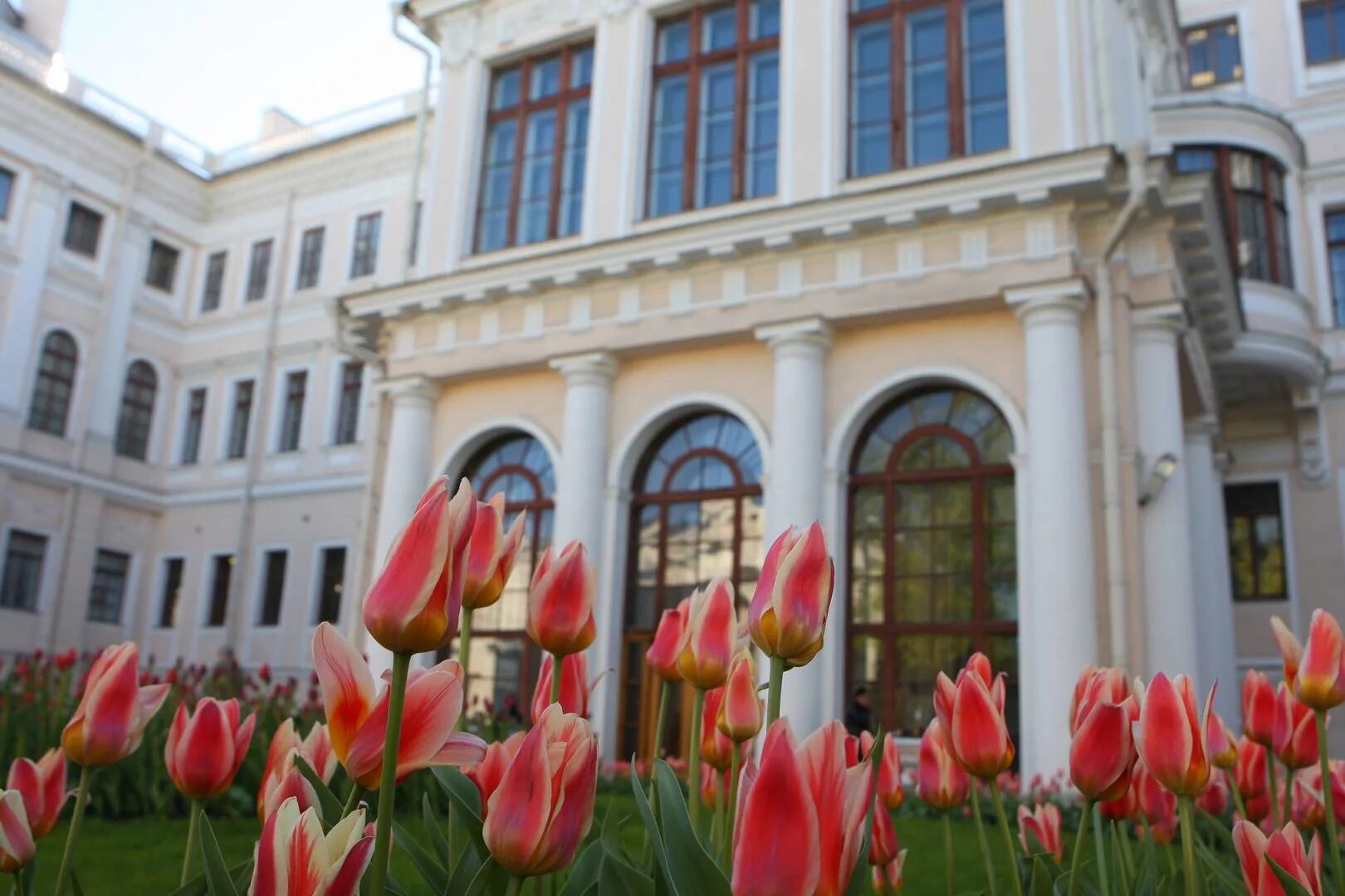 дворец творчества юных аничков. дворец молодежи йошкар-ола. дворец творчества юных сайт. аничков дворец зимой. дворец творчества юных сайт.