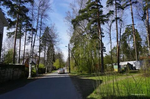Лисий нос отзывы