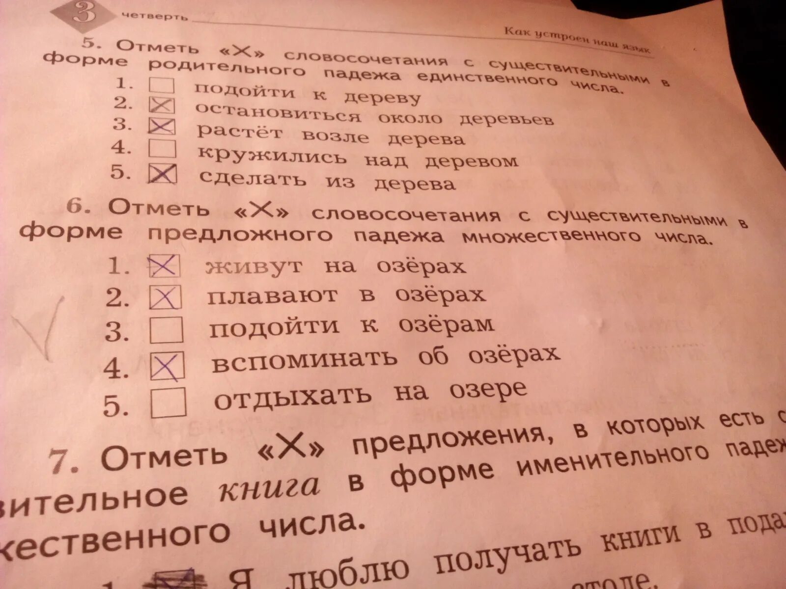 Отметь х слова. Словосочетания в предложном падеже. Отметь словосочетание. Отметь знаком х. Отметь словосочетания в которых есть существительное.