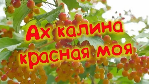 Песня ах калина текст