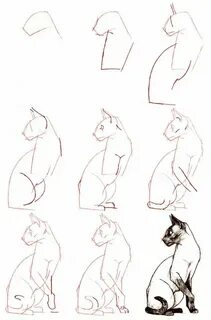 Кошка нарисовать поэтапно карандашом