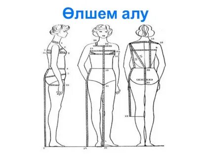 Фаллусы бар жетілген әйелдер