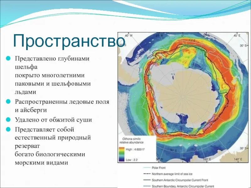 Южный океан 7 класс