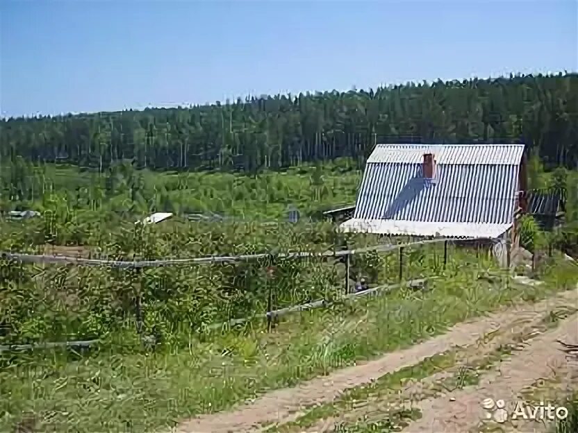 Купить участок иркутск снт. СНТ Росинка Иркутск. СНТ мечта по Качугскому тракту. Дачное некоммерческое товарищество Сосновый Иркутск. СНТ ДНТ Ленинский округ Иркутск.