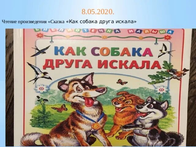 Как найти друг друга сказка. Как собака друга искала сказка. Сказка это произведение. Картинки к сказке как собака друга искала. Мордовская сказка как собака друга искала.