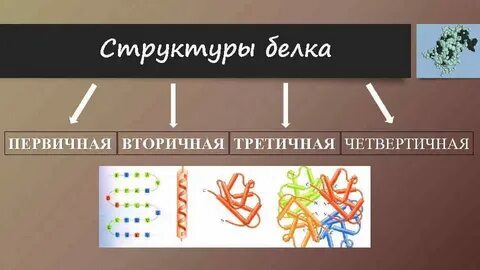 Первичный вторичный третичный четвертичный