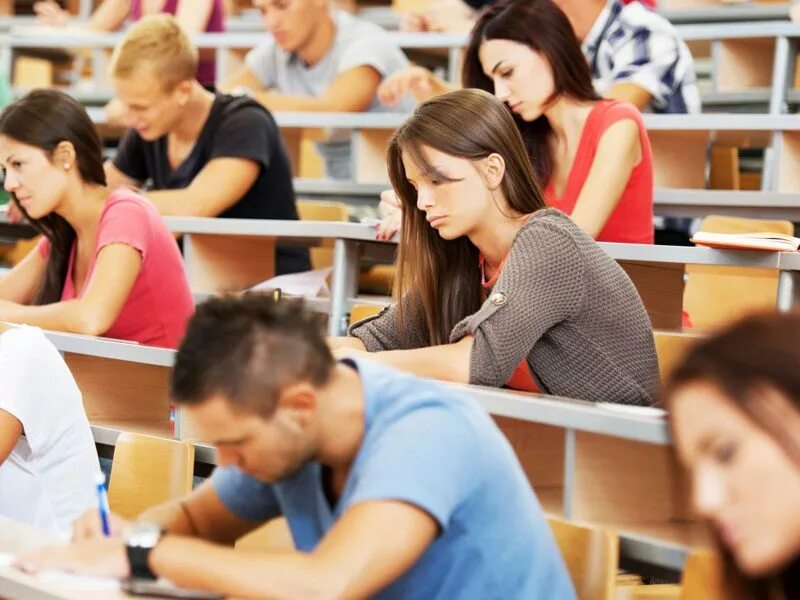 Студенты в вузе. Занятие в вузе 7 букв. Занятия в университете. Студенты на лекции. Студенты в вузе.