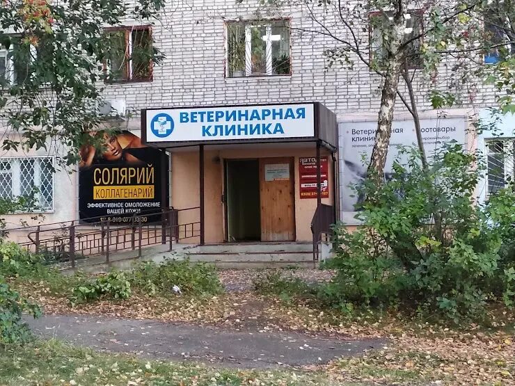 Ул героев алексинцев. Ветклиника в алексине. ветклиника алексин автовокзал. героев алексинцев 8а алексин.