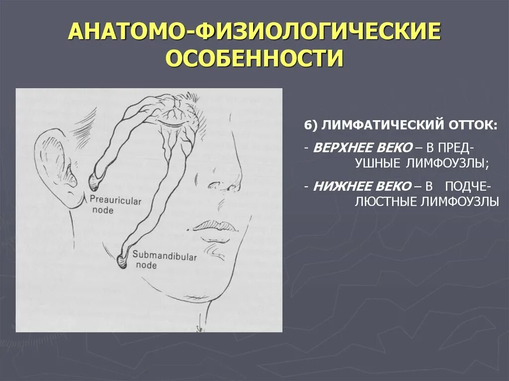 Что значит физиологические признаки. Отток лимфы на лице схема. Линии оттока лимфы на лице схема. Анатомо физиологические особенности лимфатических узлов. Лимфатические узлы анатомо-физиологическая характеристика.