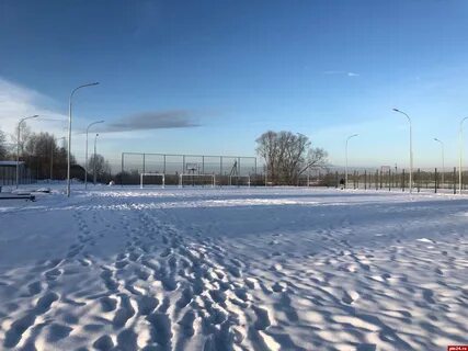 Погода в новоржеве сейчас