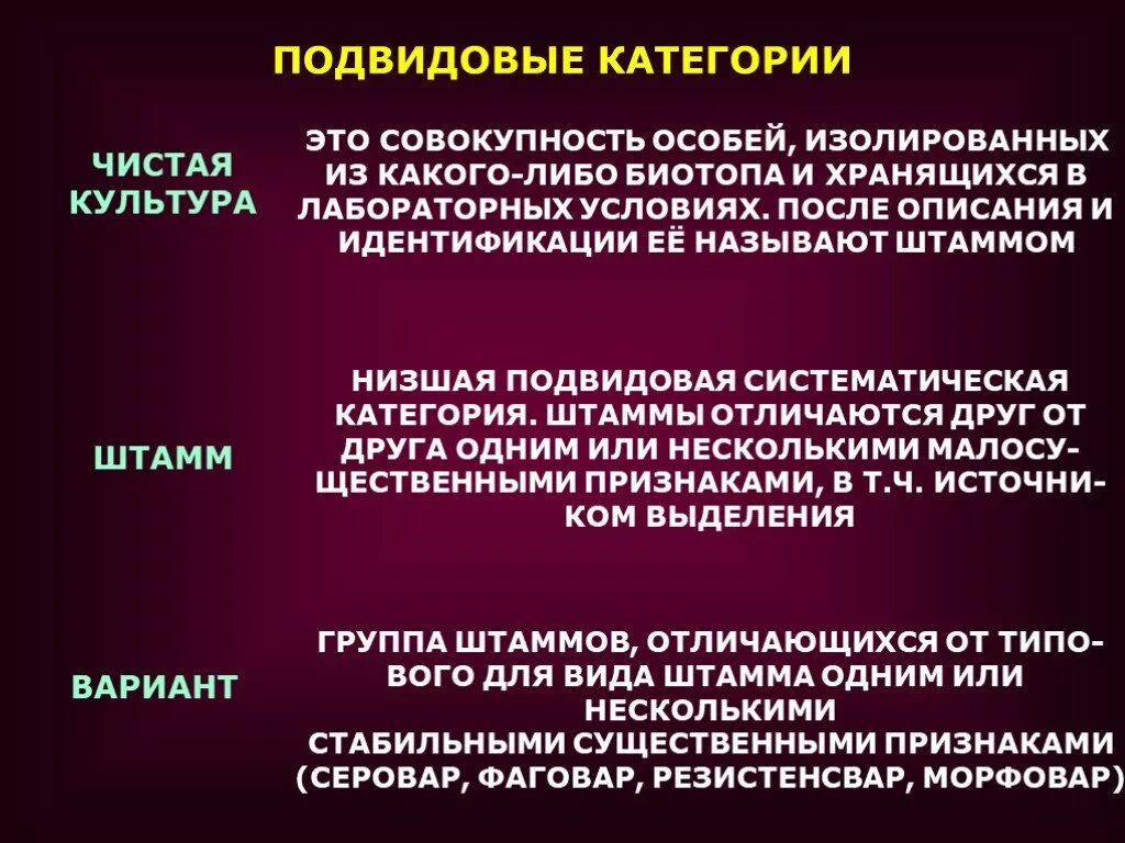Приказы микробиологии. Вариант в микробиологии это. связь микробиологии с другими науками. понятие микробиологии. штамм это микробиология.