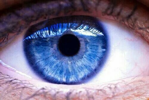 Глазк. Цвет глаз. Вампирские глаза голубые. Глаза цвета электрик. Хейзел цвет глаз.