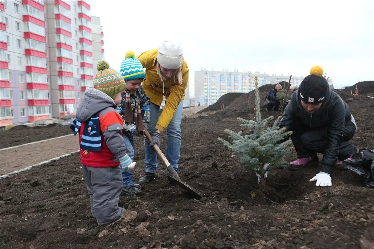 Сквер дендросад Красноярск. Дендросад в Покровском. Сад в Покровке Красноярск. Посадк Покровский Украина.