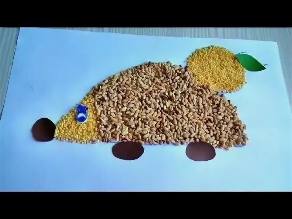 Ежик из гречки. Ежик из круп. ежик из крупы. ёжик из гречки на бумаге.