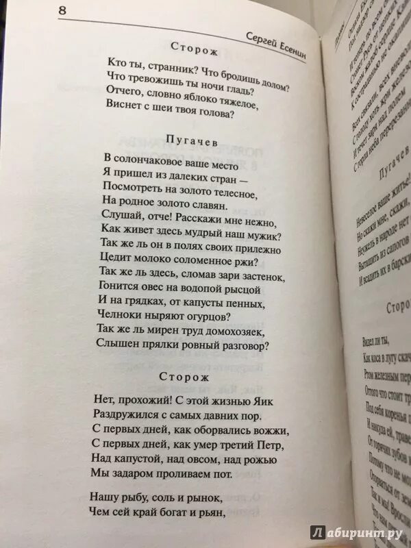 Сторож стих. Есенин Страна негодяев иллюстрации. Стихотворение Есенина Страна негодяев. Есенин подлецы всех стран стих. Страна негодяев читать полностью Есенин.