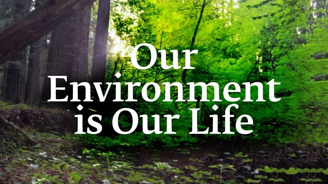 Is to protect life. Our environment. Environment is. Protect our environment. Protect our environment фото.