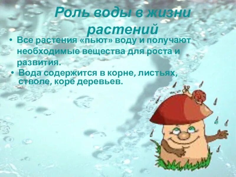 Роль воды для растений. Роль воды в жизни растений. Вода источник жизни растений. Значение воды в жизни растений.