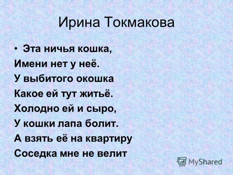 Ни чей или ничей. Это ничья кошка Токмакова. Токмакова стихи. Стихотворение Ирины Токмаковой туман.