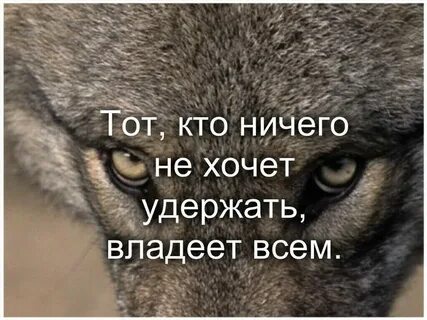 Владею ничем
