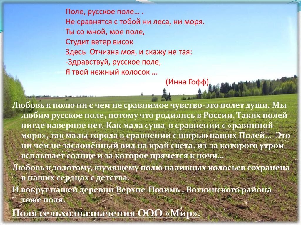 Меня всегда волнуют и притягивают необъятные просторы. Стих поле. Поле русское поле стих. Стих про поля России. Стихи песни русское поле.