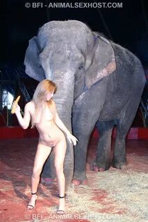 Girl and elephants sex 