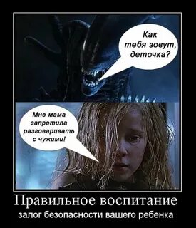 Вы не чужой вы свой как понять