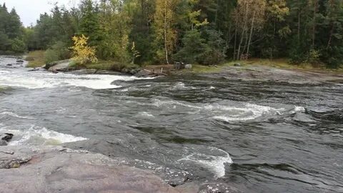 Номер реки