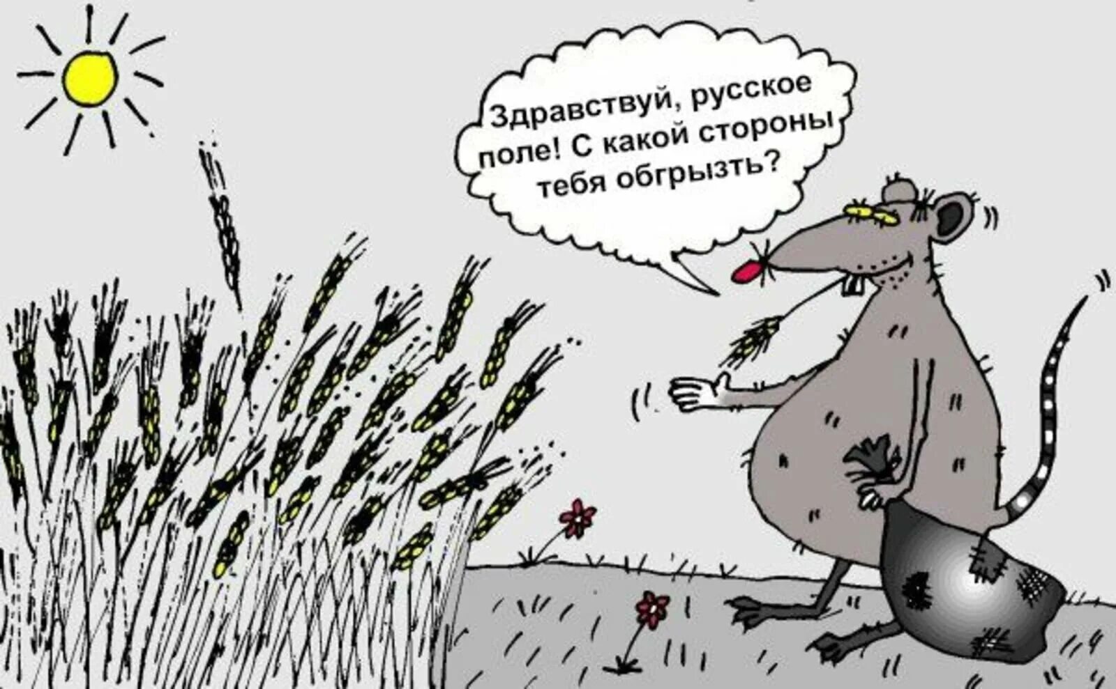 Прикол про поле. Карикатуры про сельское хозяйство. Шутки про агрономов. Агроном карикатура. Поле карикатура.