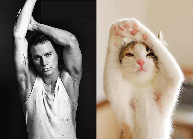 Чувак кот. Мужчина с котом. кот фотомодель. парень похож на кота.