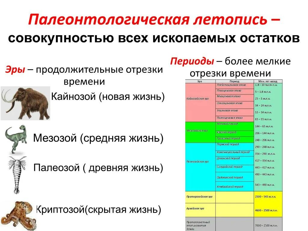 Названия эр которые ученые называют скрытая жизнь. Палеонтологическая таблица периодов. Животный мир кайнозойской эры таблица. Палеонтологическая летопись. Эволюция эры и периоды.