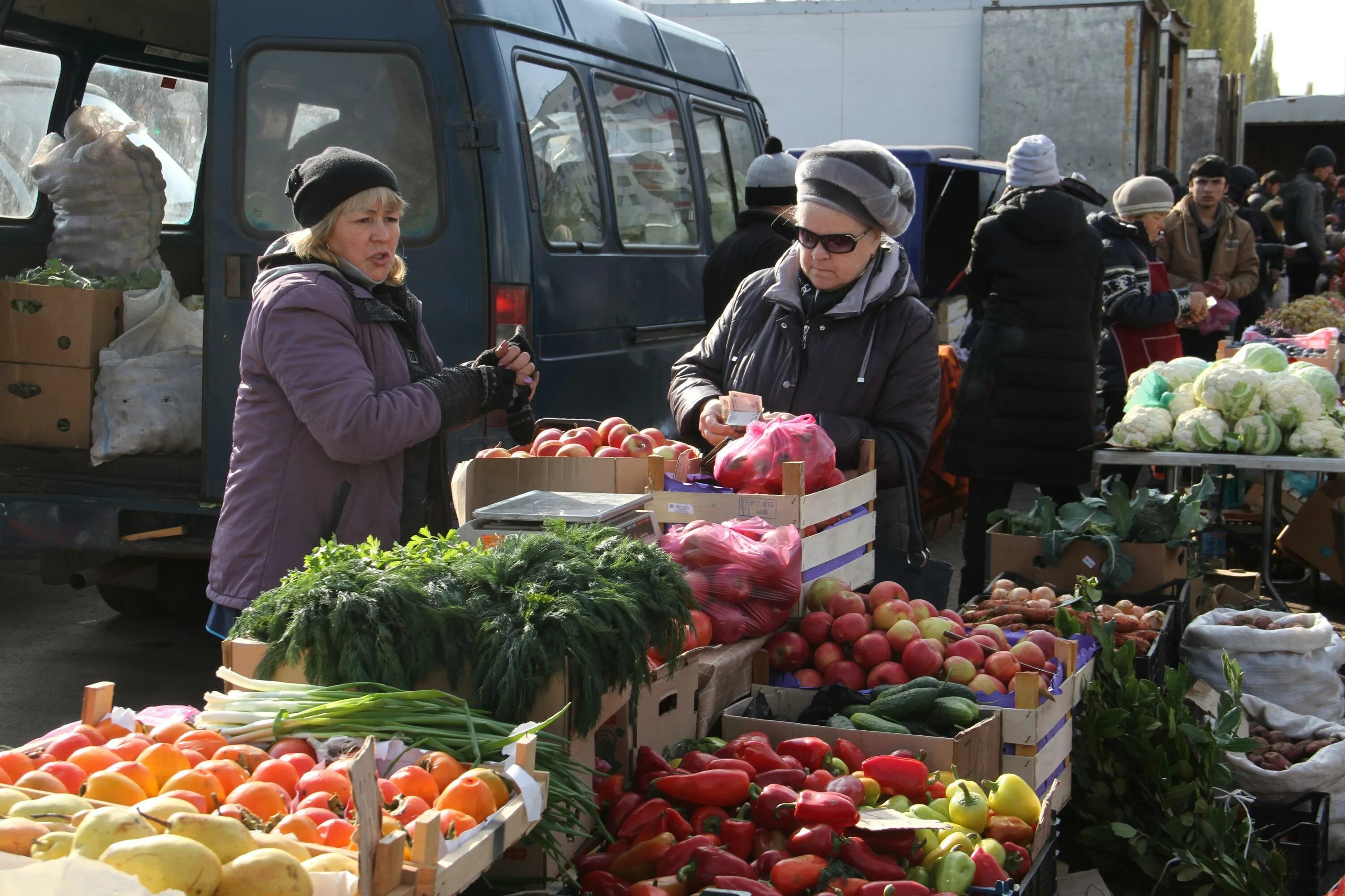 Овощная ярмарка в курске. Осенняя ярмарка. Ярмарка овощей. Когда в курске будет овощная ярмарка. Ярмарки овощные.