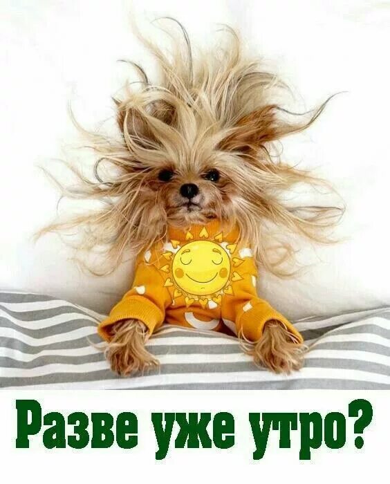 Доба с утра