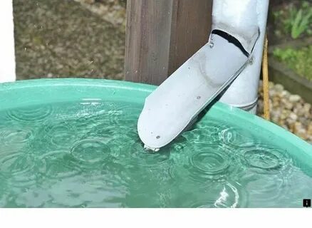 Пьют ли дождевую воду