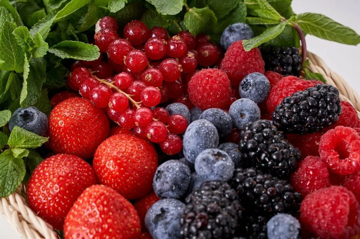 Красивые фрукты ягоды. Фрукты и ягоды. Красивые ягоды. Красивые фрукты. Сочная ягода.