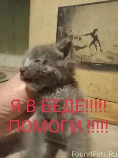 День оказался никакой