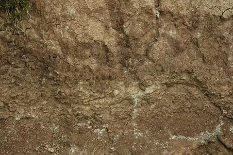 Earth ground