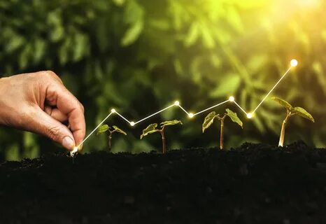 Grow interest