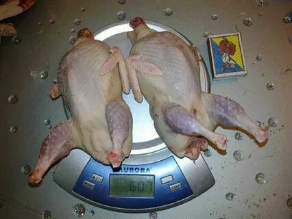 Вес тушки