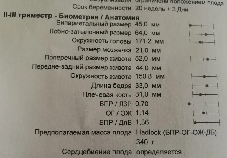 Узи 20 недель нормы. Нормы УЗИ В 20 недель беременности нормы. УЗИ 21 неделя беременности норма. 2 Скрининг при беременности нормы. Нормы второго скрининга при беременности 20 недель.