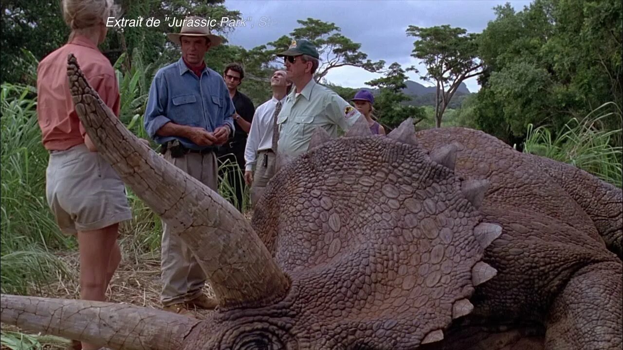 Коста рика парк юрского периода. Мир юрского периода 2 игра. Парк юрского периода 1993 тиранозавр. Парк юрского периода 1993. Песня парка юрского периода.