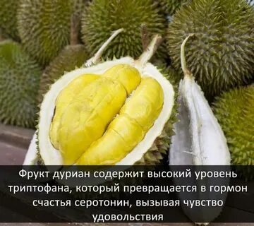 Отке 15