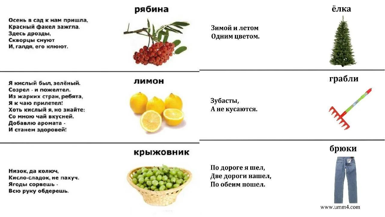 Разнообразные загадки. Разнообразные загадки