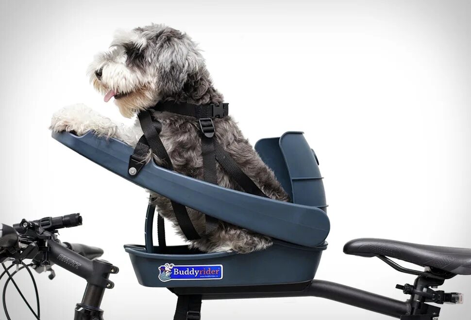 Ride pet. Buddy Rider кресло для собак. Велосидение для собак buddy Rider. Велосипедные сиденье для собаки Buddyrider. Buddy Rider кресло для собак комплектация.