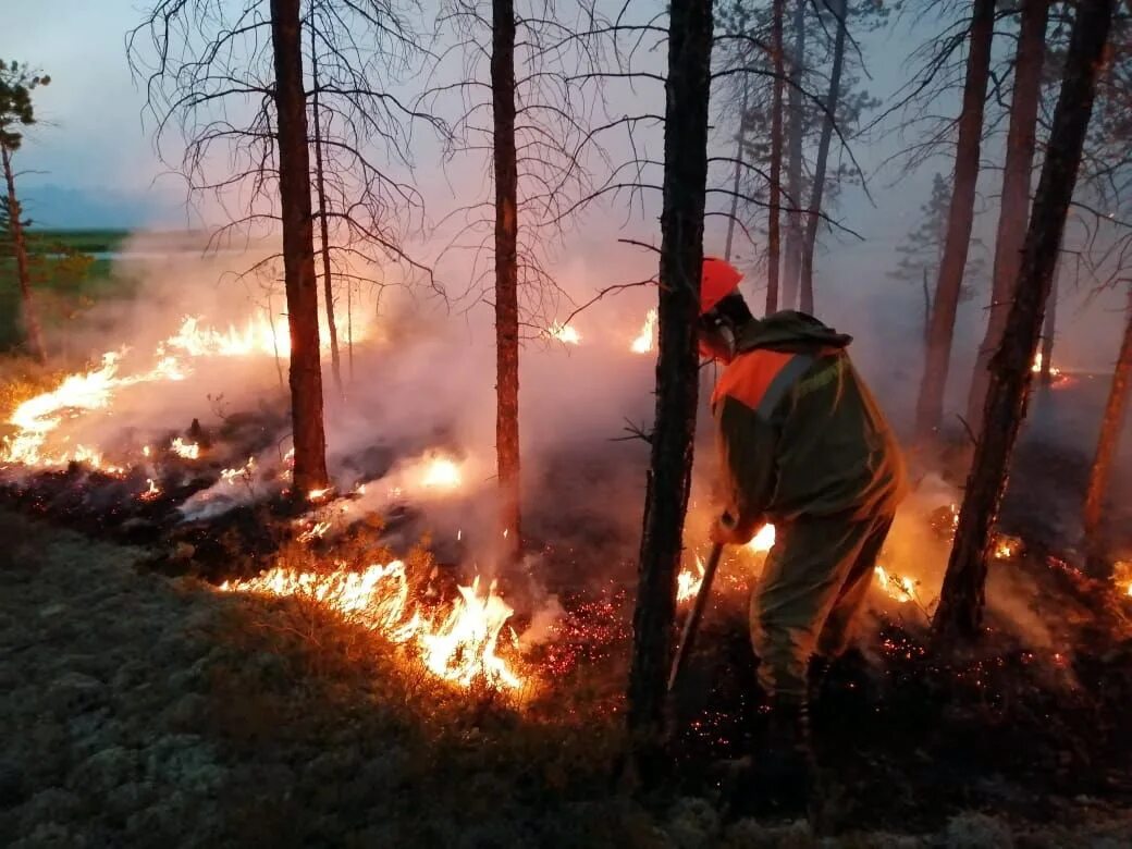 Лесные пожары красноярск. Лесные пожары в Сибири 2020. Пожары в Сибири 2019. Лесные пожары в Сибири (2015). Россия Сибирь 2019 пожар.