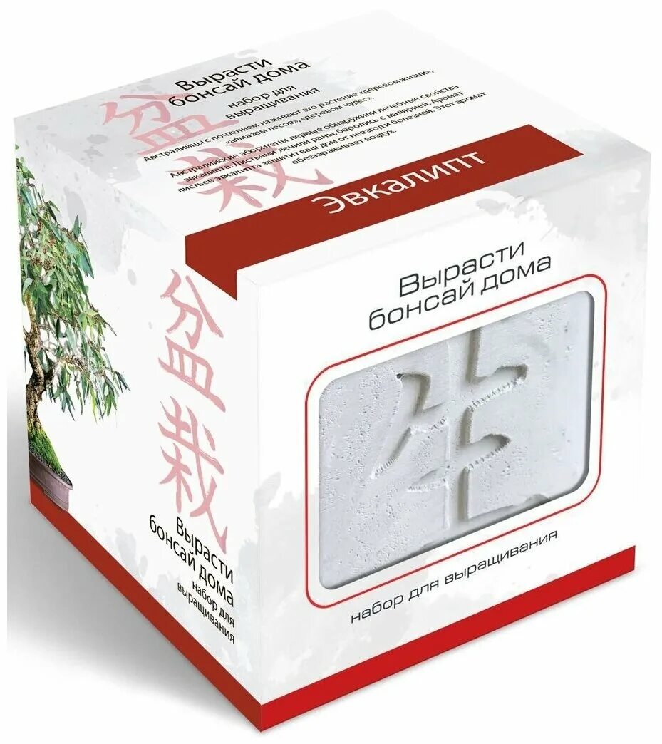 подарочный набор для выращивания вырасти бонсай дома сакура. подарочный набор вырасти бонсай дома что такое. набор для выращивания бонсая. бонсай экоклуб вырос. ель".