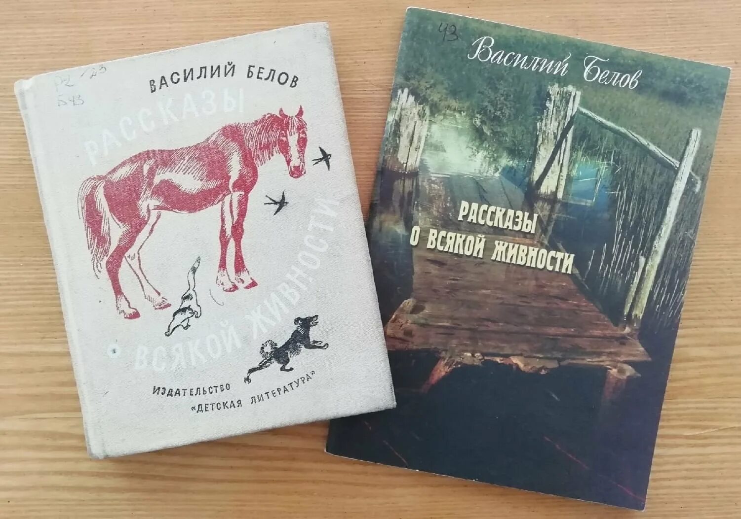 Произведения белова рассказы. Детские книги в.и. Белова.