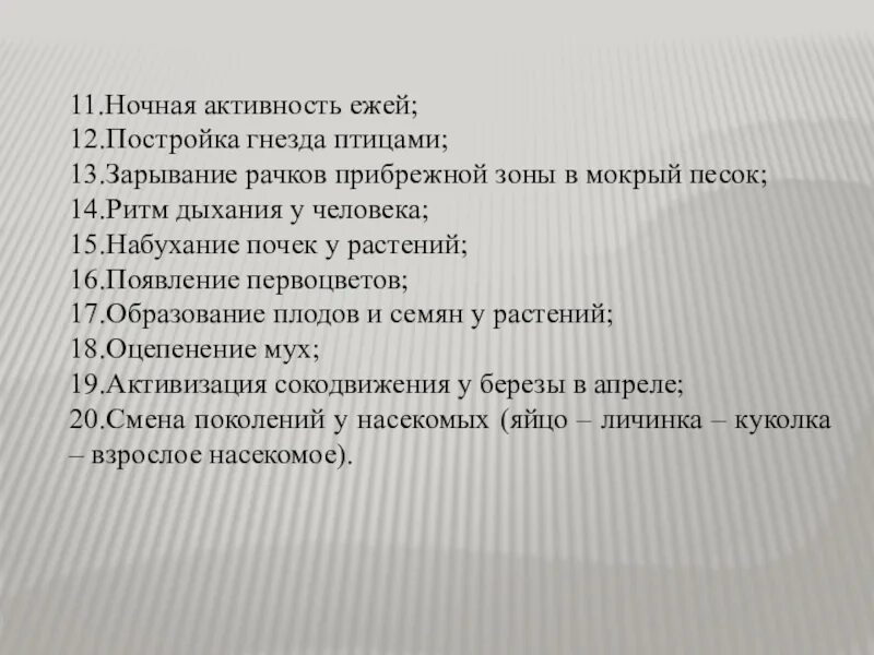 Ночная активность ежей это. Ночная активность ежей это ритм. Ночная активность ежей какой это ритм.